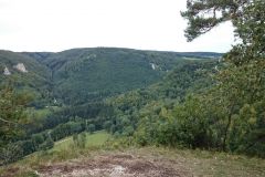 IMG-20150913-WA0002